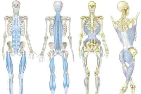 Curso de Fascioterapia_mini